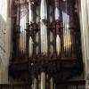 Organ by Heynemann