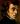 Image for Frédéric François Chopin